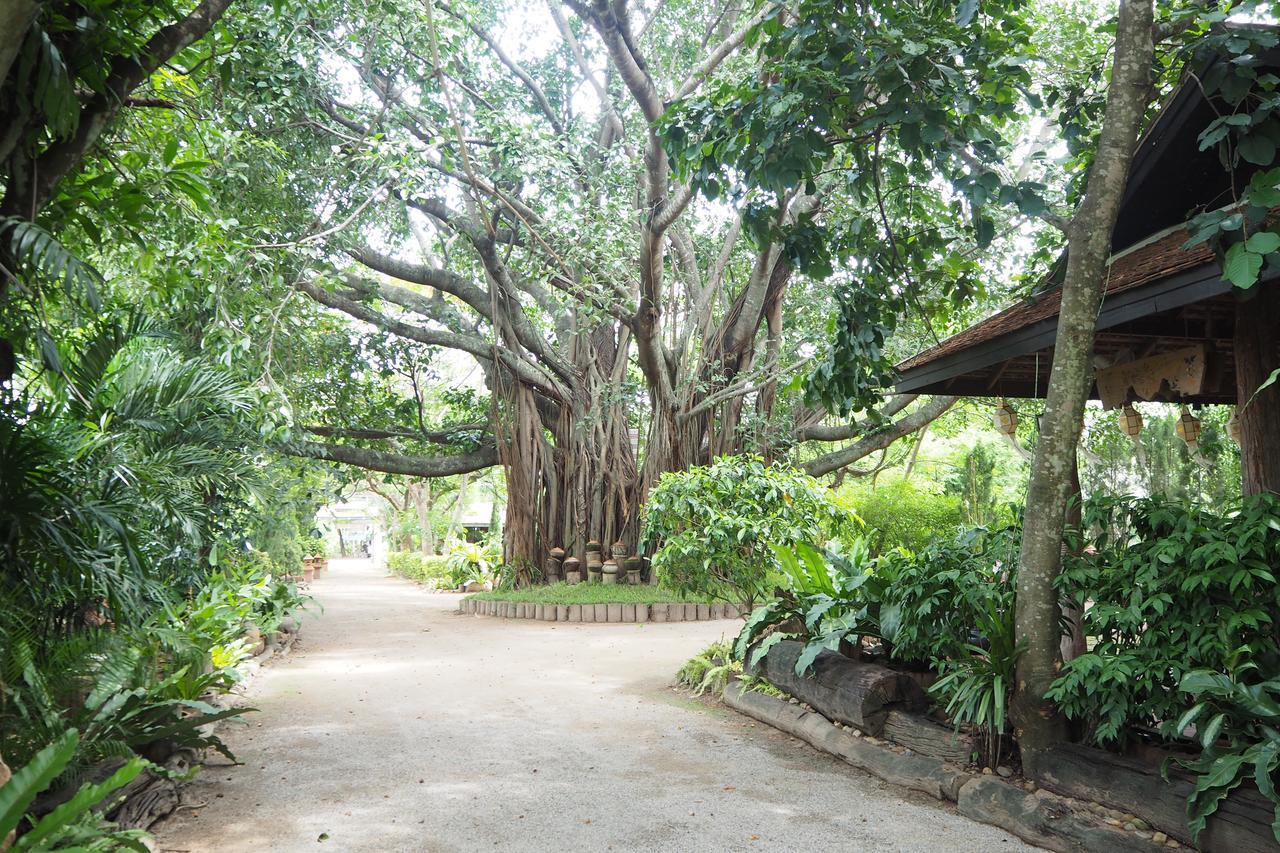 Khum Khun Wang Resort Mae Wang Extérieur photo